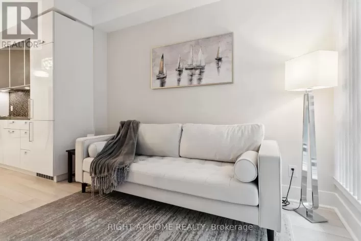 311 - 32 DAVENPORT ROAD, Toronto