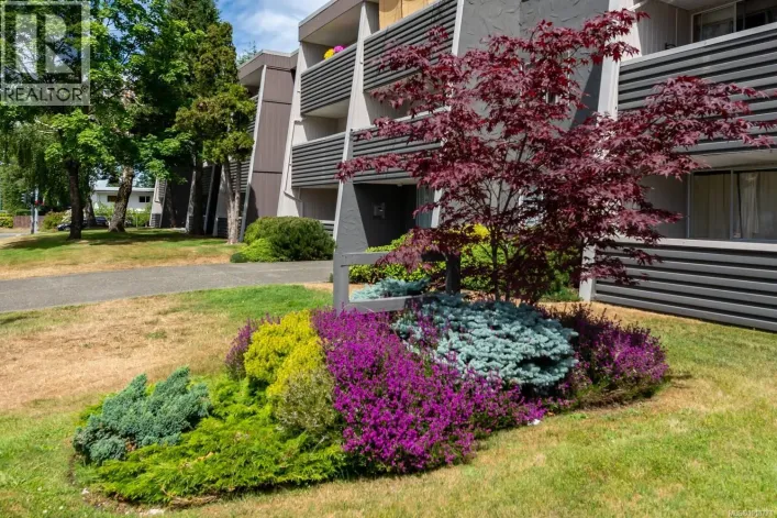 311 377 Dogwood St S, Campbell River