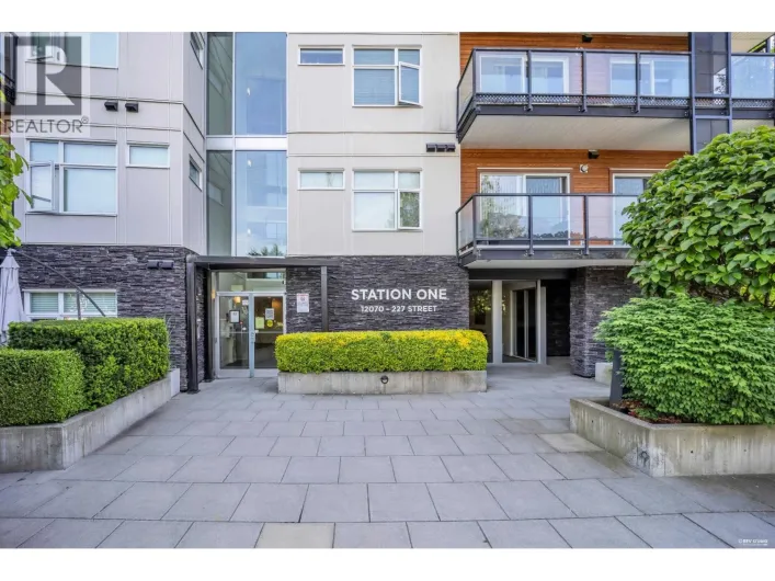 313 12070 227 STREET, Maple Ridge