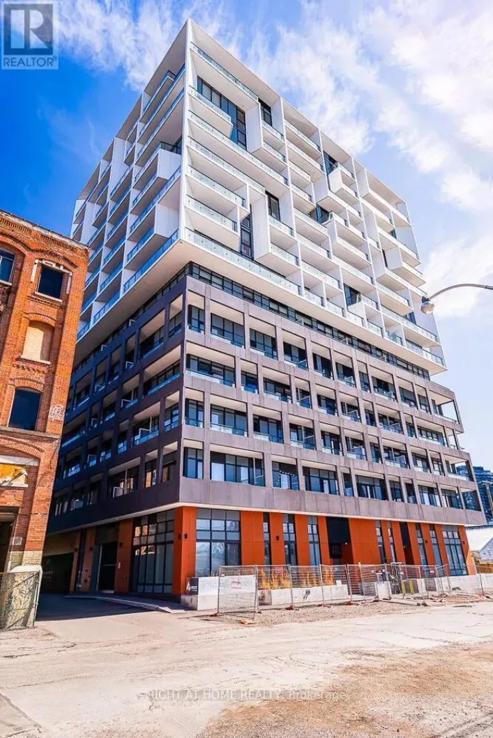 315 - 9 TECUMSETH STREET, Toronto