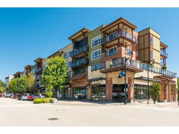 316 20728 WILLOUGHBY TOWN CENTRE DRIVE, Langley