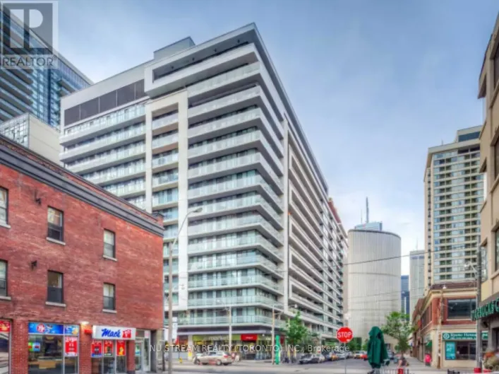 317 - 111 ELIZABETH STREET, Toronto
