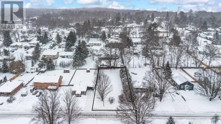 318 PALMER STREET, Tay