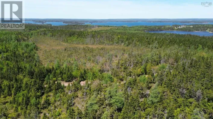 320 Highway, D'Escousse