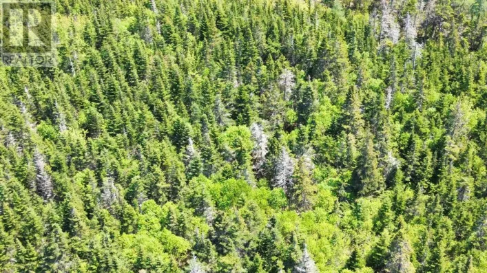 320 Highway, D'Escousse