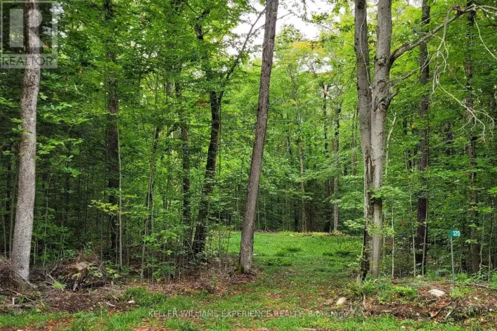 320 PROUDFOOT ROAD, Joly