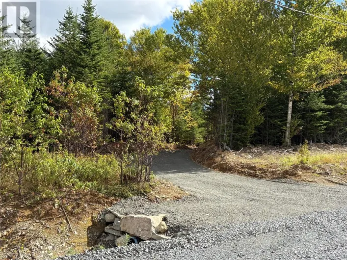 320 Sunset Boulevard, Whitbourne