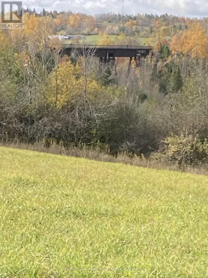 323 ORANGE CORNERS ROAD, Kawartha Lakes