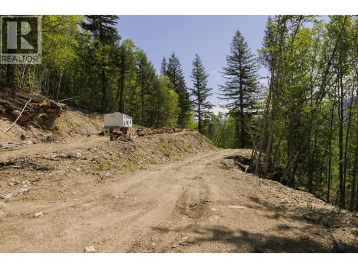 3260 MOUNTAIN VIEW ROAD, McBride