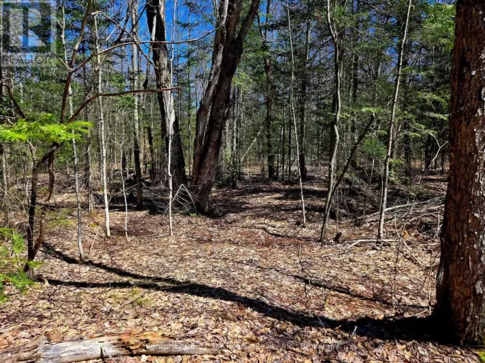 3267 HIGHWAY 534, Nipissing