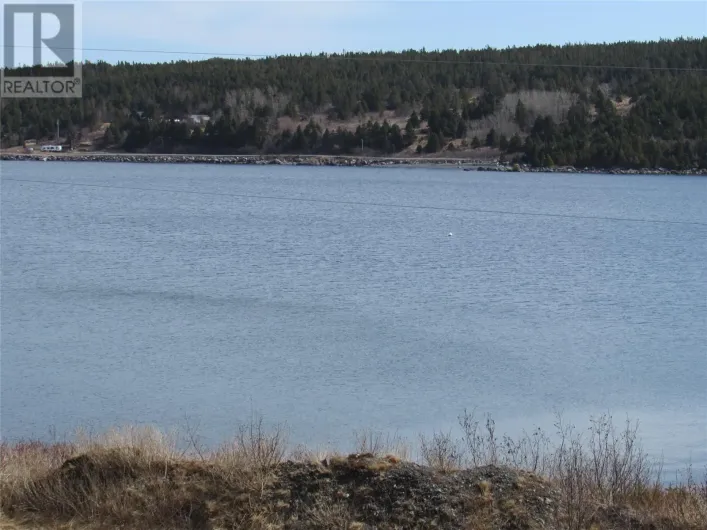 33 Cove Road, Colliers