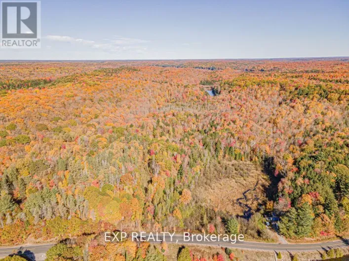 3349 DEEP BAY ROAD, Minden Hills