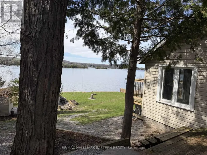 344 FIFE AVENUE, Selwyn