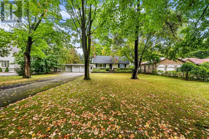 344 SPRING GARDEN AVENUE, Toronto