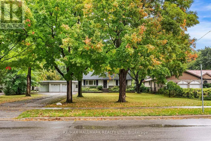 344 SPRING GARDEN AVENUE, Toronto
