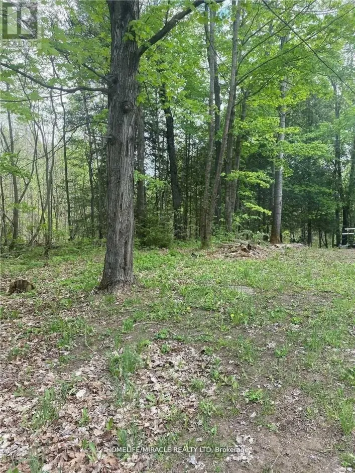 3460 HARBURN ROAD, Dysart et al