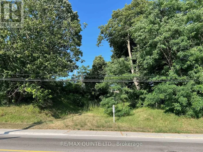 351 SIDNEY STREET, Quinte West
