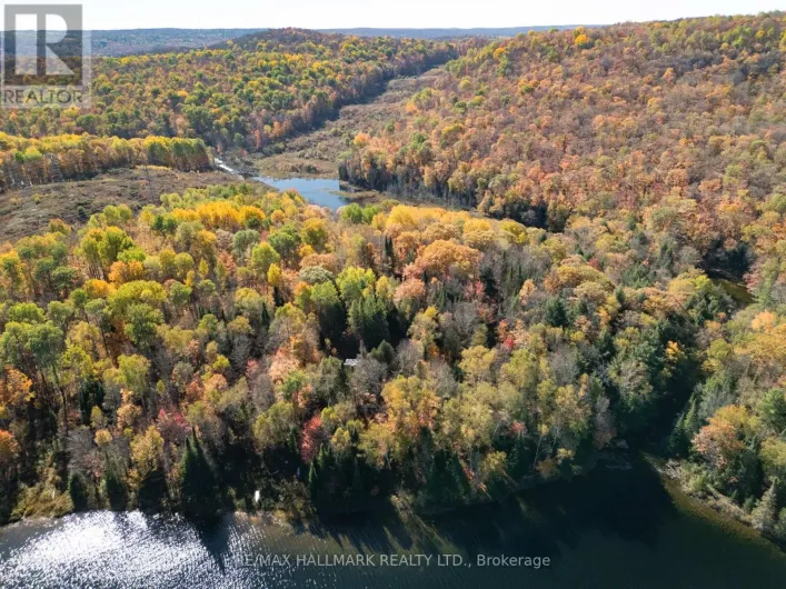 3517 HALIBURTON LAKE ROAD, Dysart et al