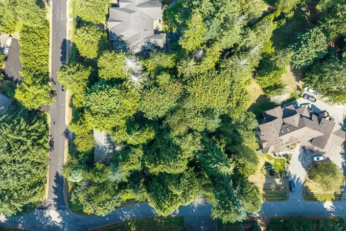 3530 142A STREET, Surrey