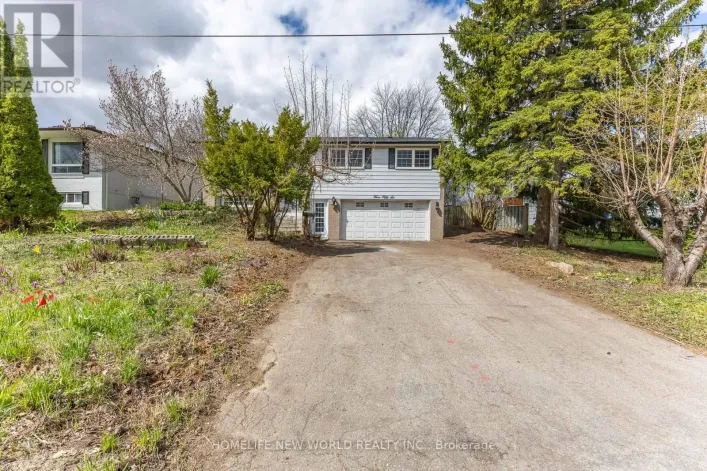 356 DIXON BOULEVARD, Newmarket