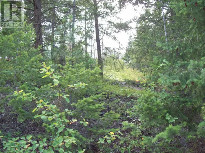 358 Mountain Drive, Vernon