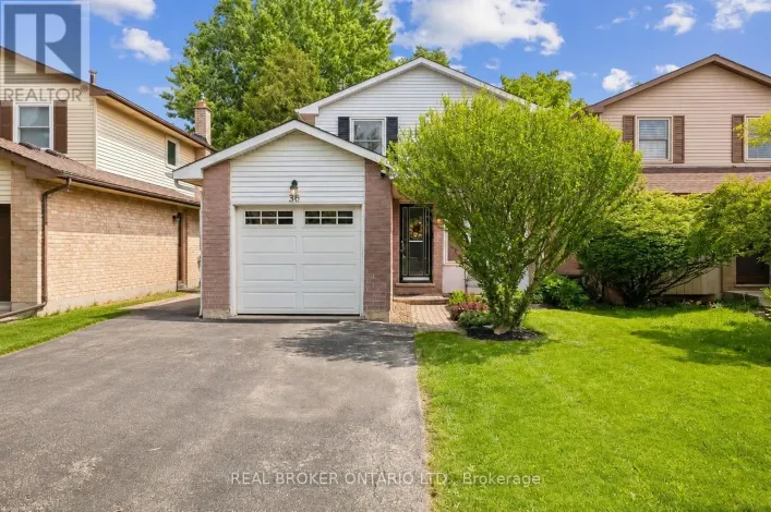 36 BRAEHEID AVENUE, Hamilton