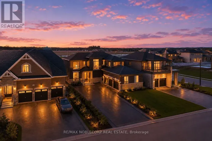36 FELHAZI TRAIL, Essa