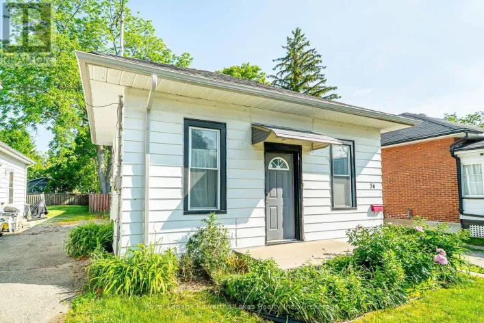 36 MELBOURNE STREET W, Kawartha Lakes