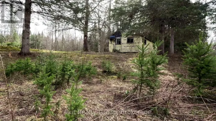 3606 COUNTY ROAD 620, North Kawartha