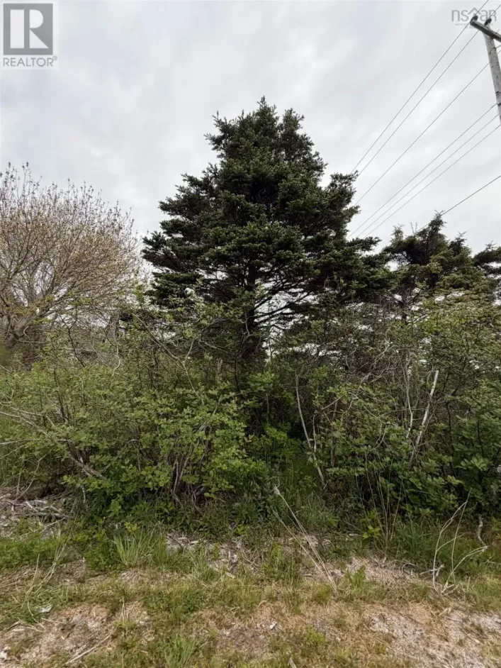 3661 Highway 217, East Ferry