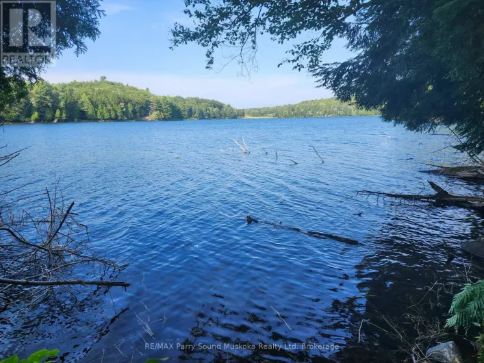 368 SIMMONS LAKE ROAD, Magnetawan
