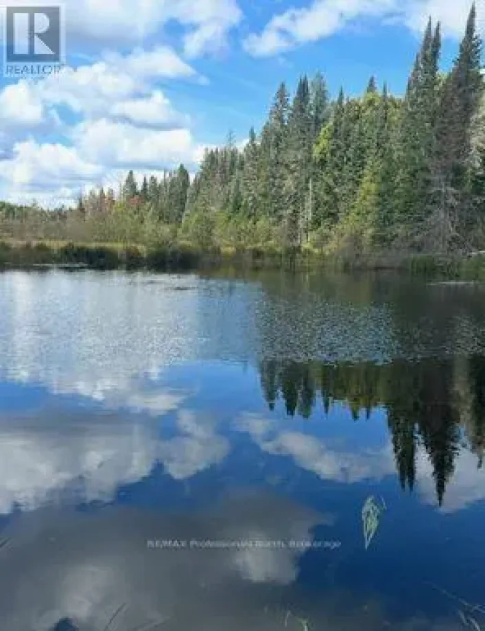 376 RIDING RANCH ROAD, South River