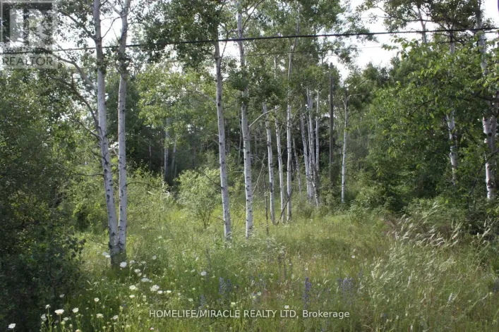 380 HIGHWAY 15 HIGHWAY, Rideau Lakes