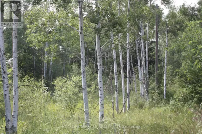 380 HIGHWAY 15, Rideau Lakes