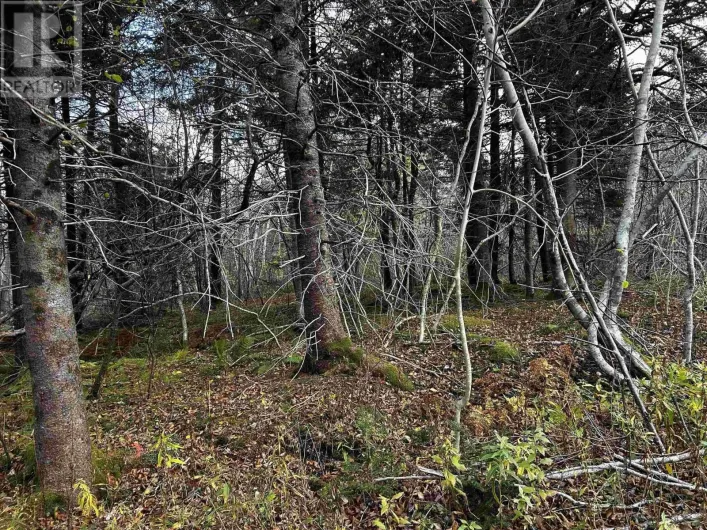 381 Marshalltown Road, Marshalltown