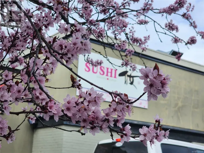 382 Island Hwy E, Parksville