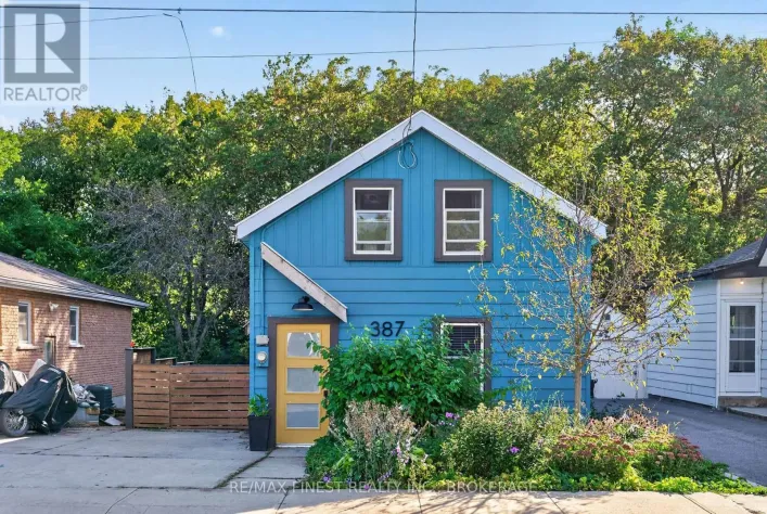 387 NELSON STREET, Kingston