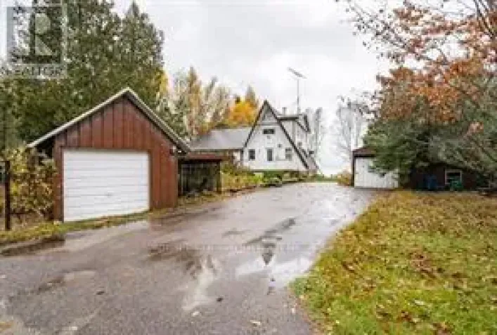 388 CRESCENT ROAD, Strong