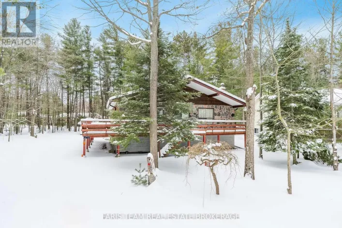 39 ROSEMARY ROAD, Tiny