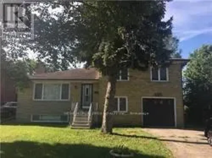 393 HOUNSLOW AVENUE, Toronto