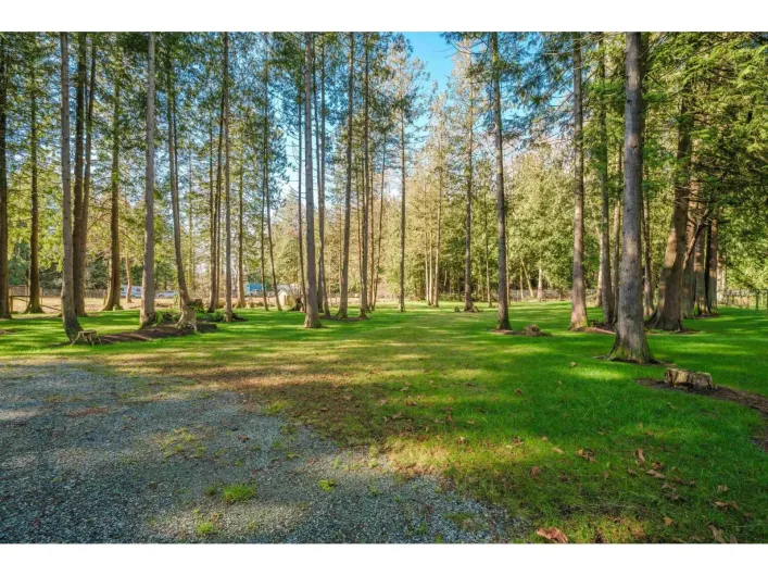 3955 248 STREET, Langley