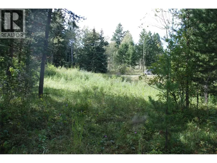 396 Wild Rose Drive, Merritt