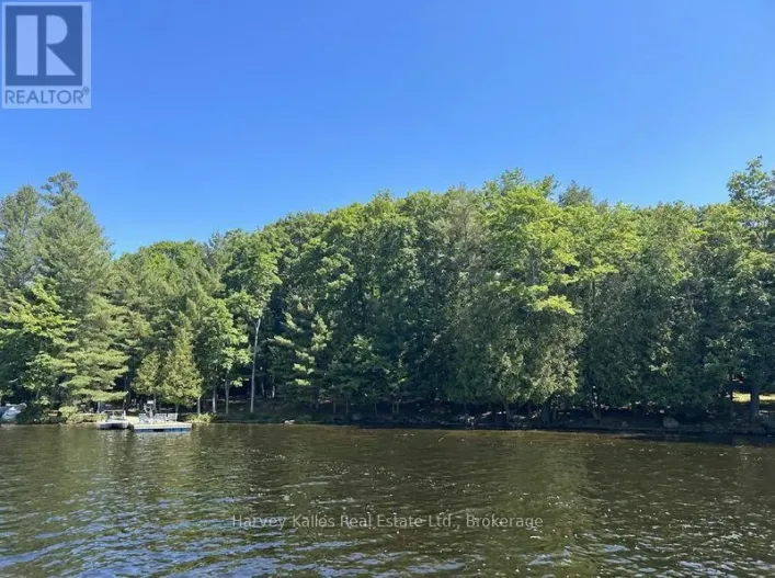 4 - 1254 BARLOCHAN ROAD, Muskoka Lakes)