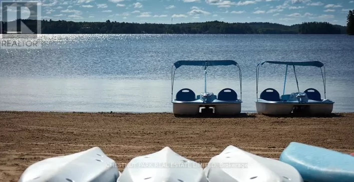 4 - 1869 MUSKOKA DISTRICT ROAD 118 WEST, Muskoka Lakes)