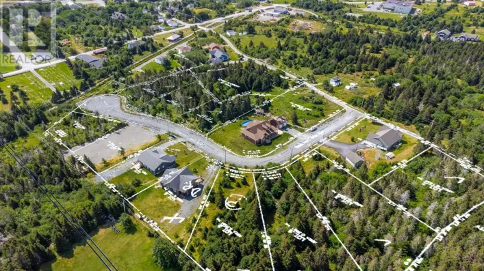 4 Alex Moores Court, Harbour Grace
