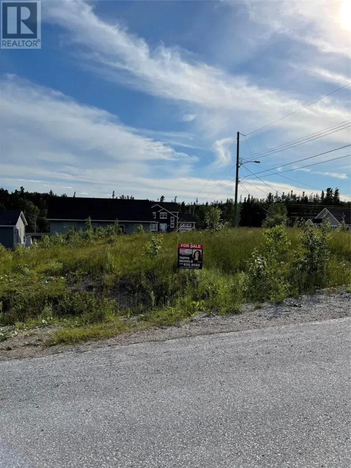 4 Jacks Place, Deer Lake