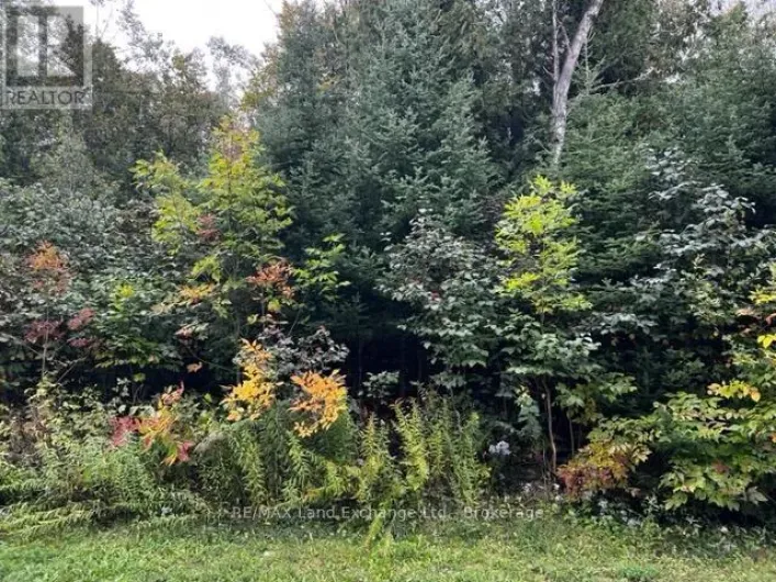 4 SHORE ROAD, Saugeen Shores