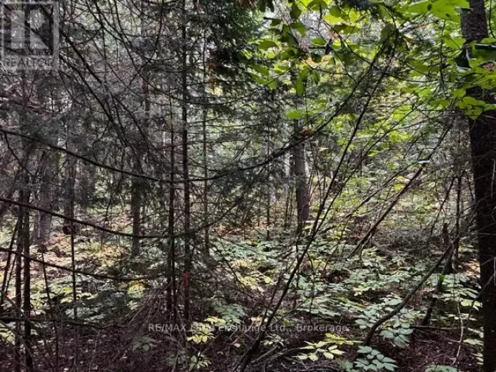 4 SHORE ROAD, Saugeen Shores