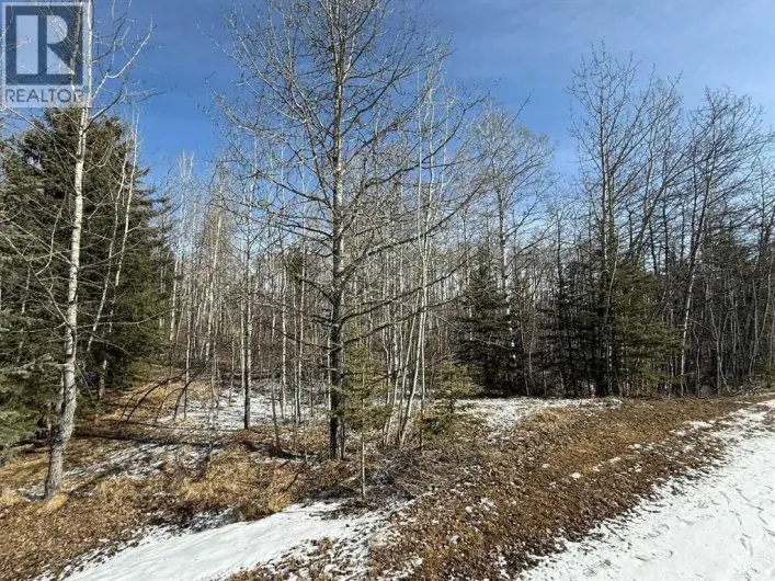 40, 29066 Range Road 52, Rural Mountain View County