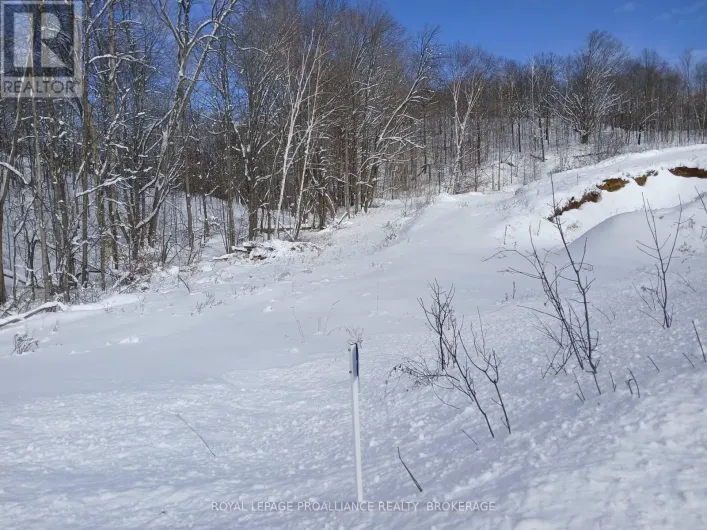 406 CROZIER ROAD, Tay Valley